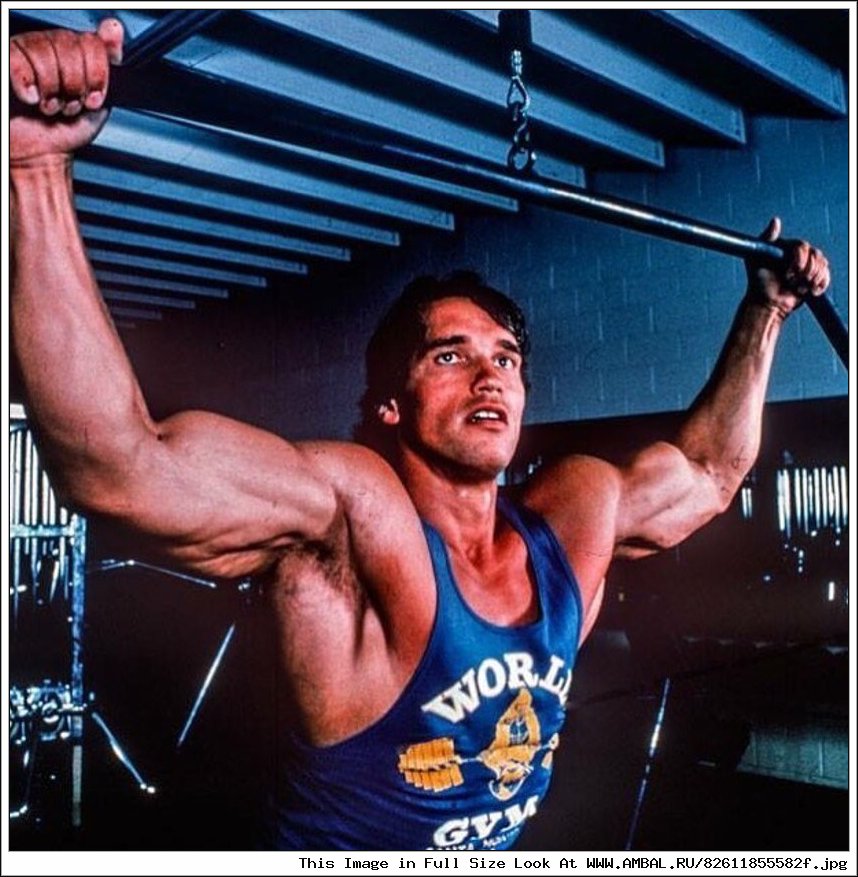 Арнольд Шварценеггер (Arnold Schwarzenegger), фотографии, биография ...