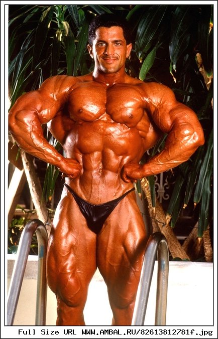 Muscle Gods