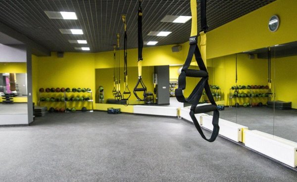 Love Fitness. Петли TRX