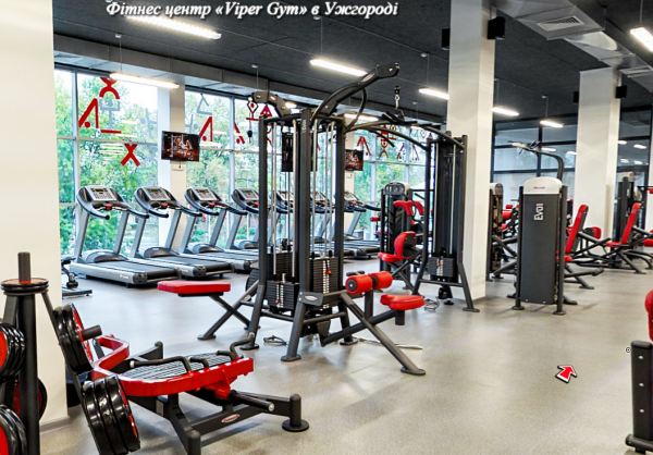 Фитнес центр Viper Gym — Ужгород. Тренажерный зал