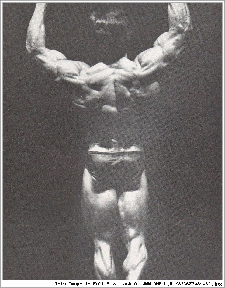 Frank Defeo Muscle