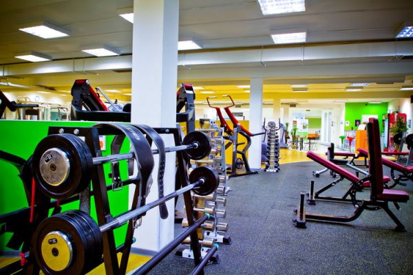 Alex Fitness — Богатырский. Тренажерный зал
