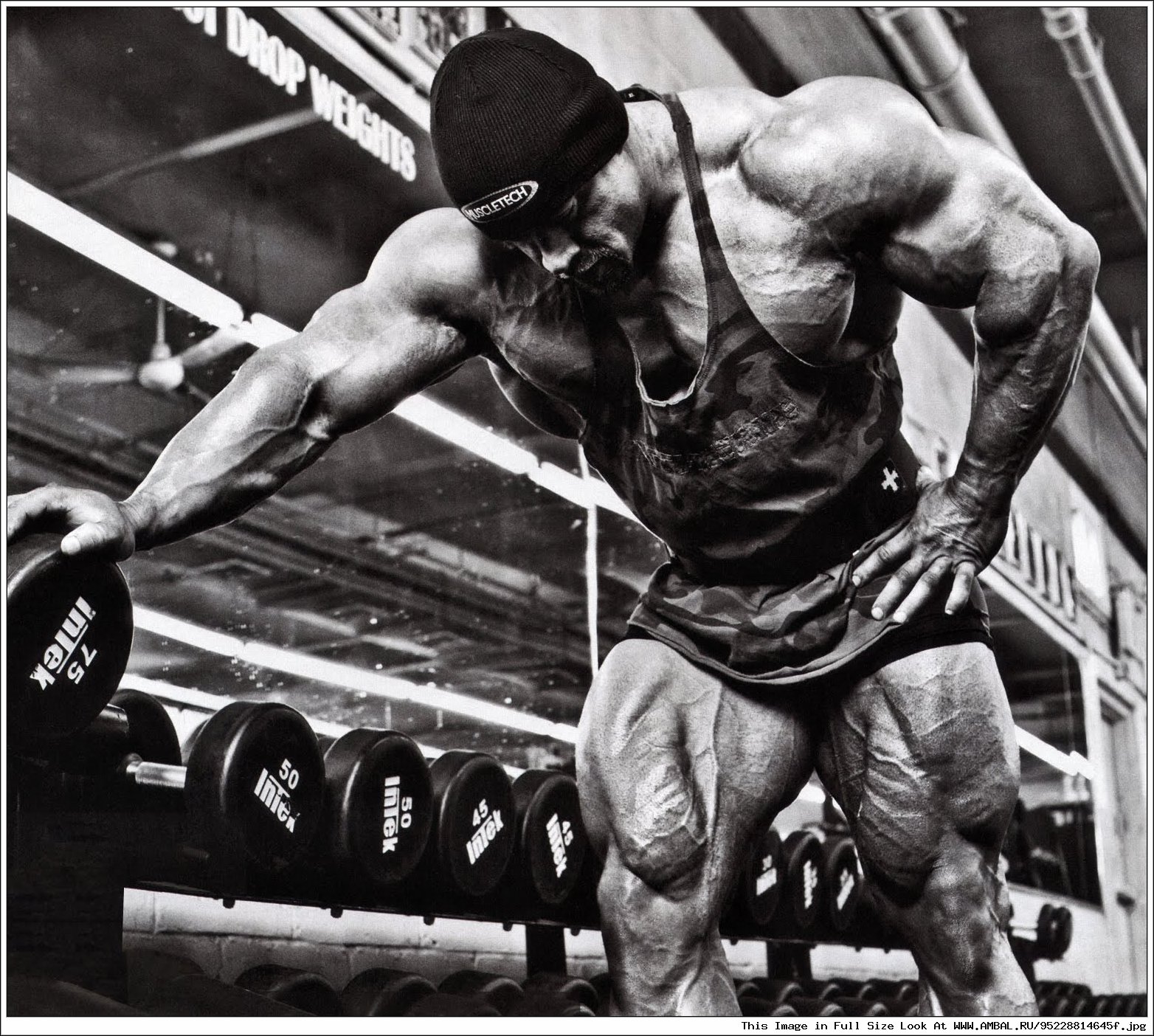 Bodybuilding Chatroom