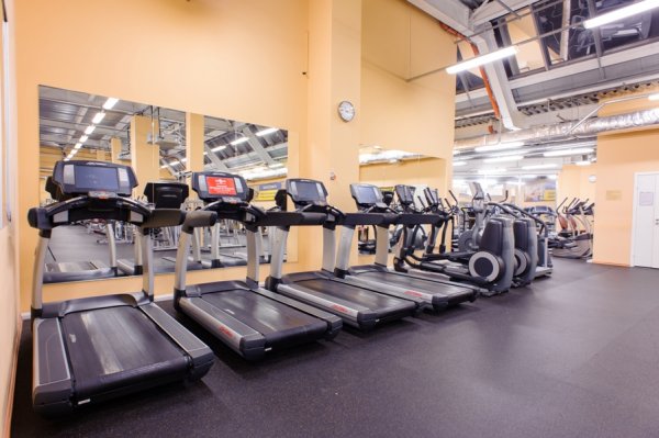 Fitness House на Балканской. Кардиозона