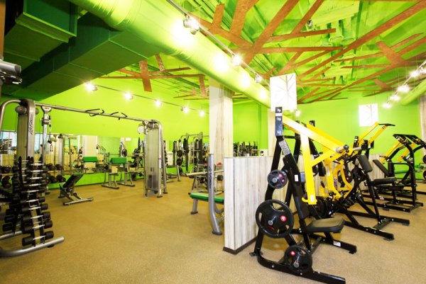 Wegym давыдковская ул 3 стр 1 фото