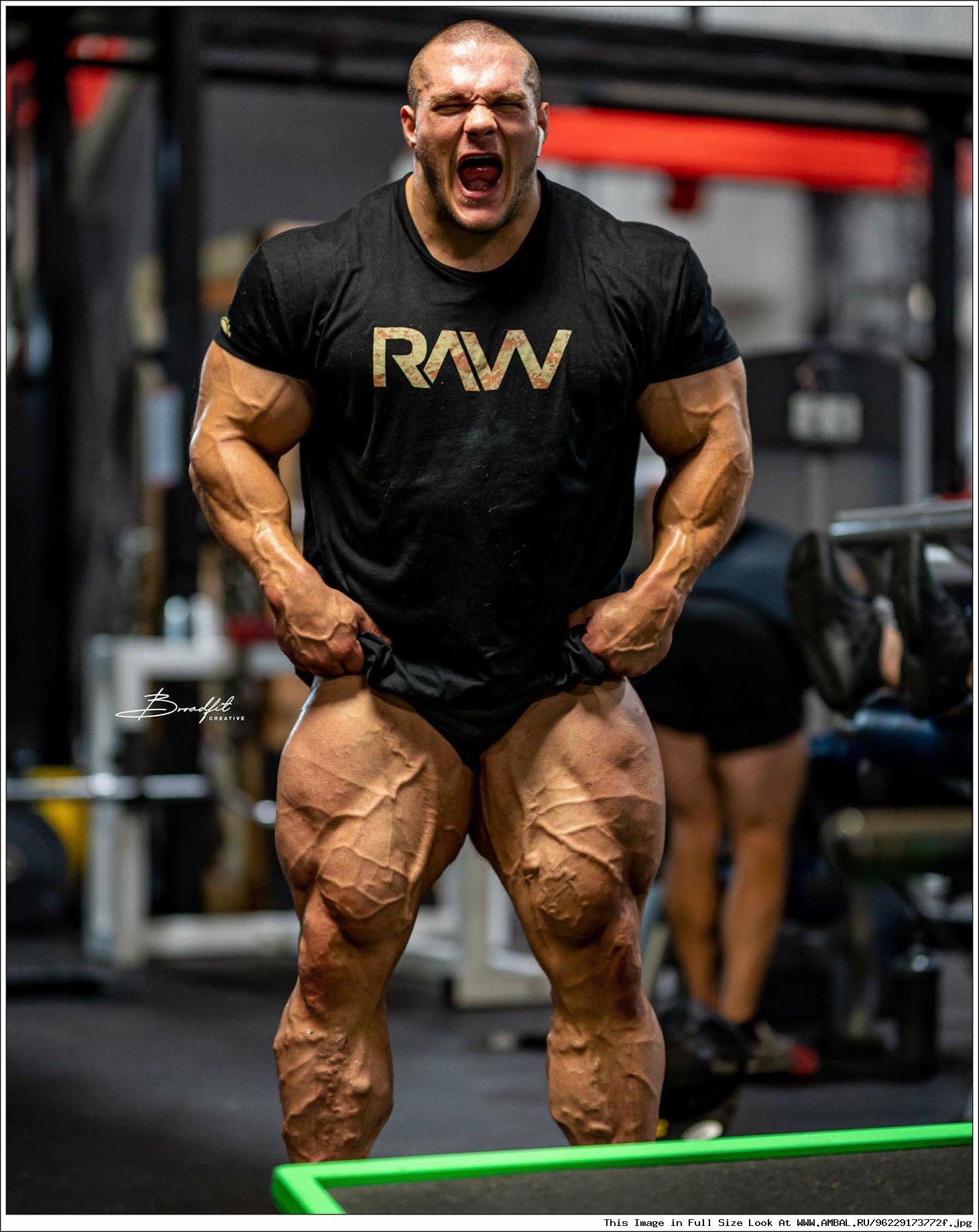 Nick walker calves