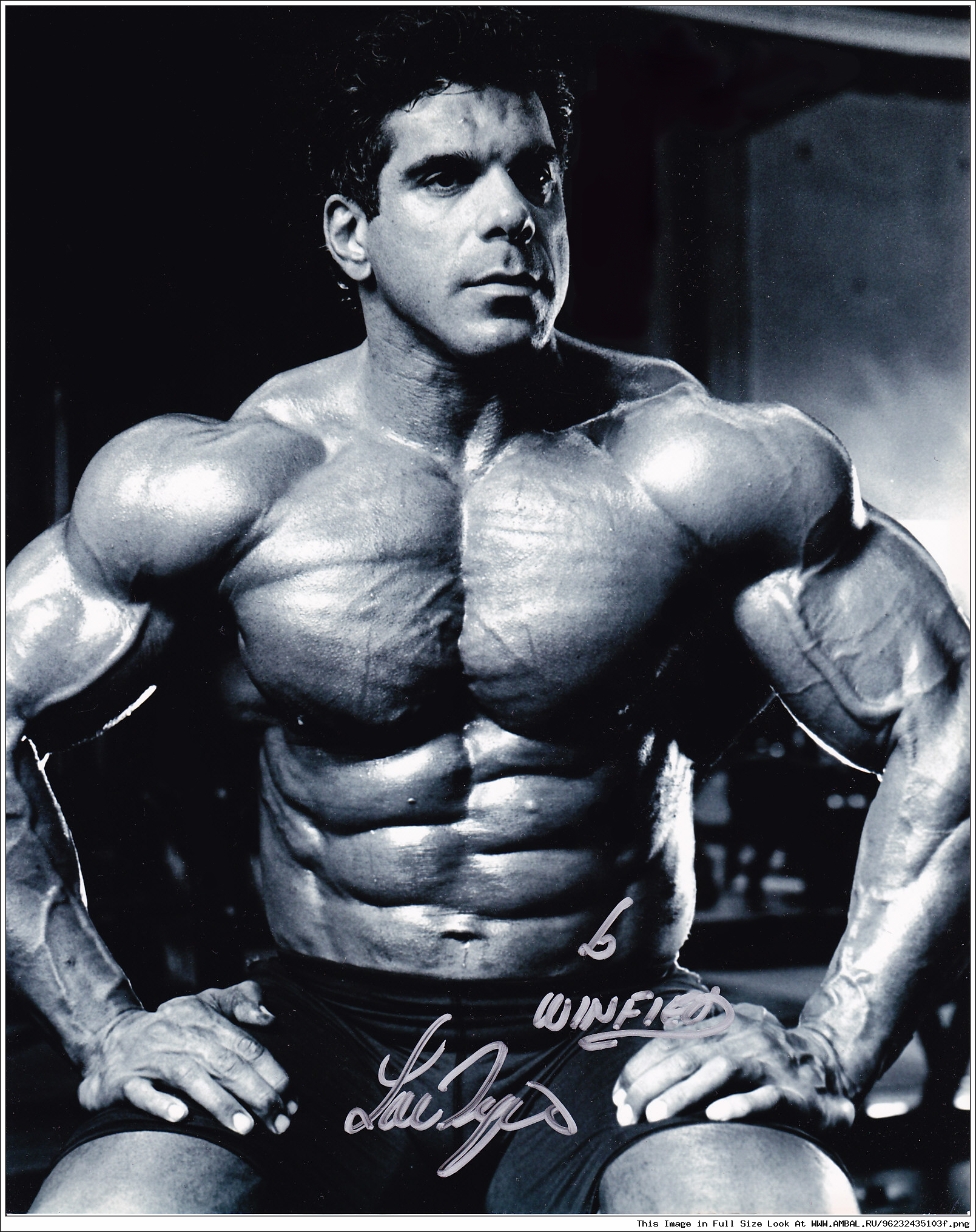 Lou Ferrigno) США.