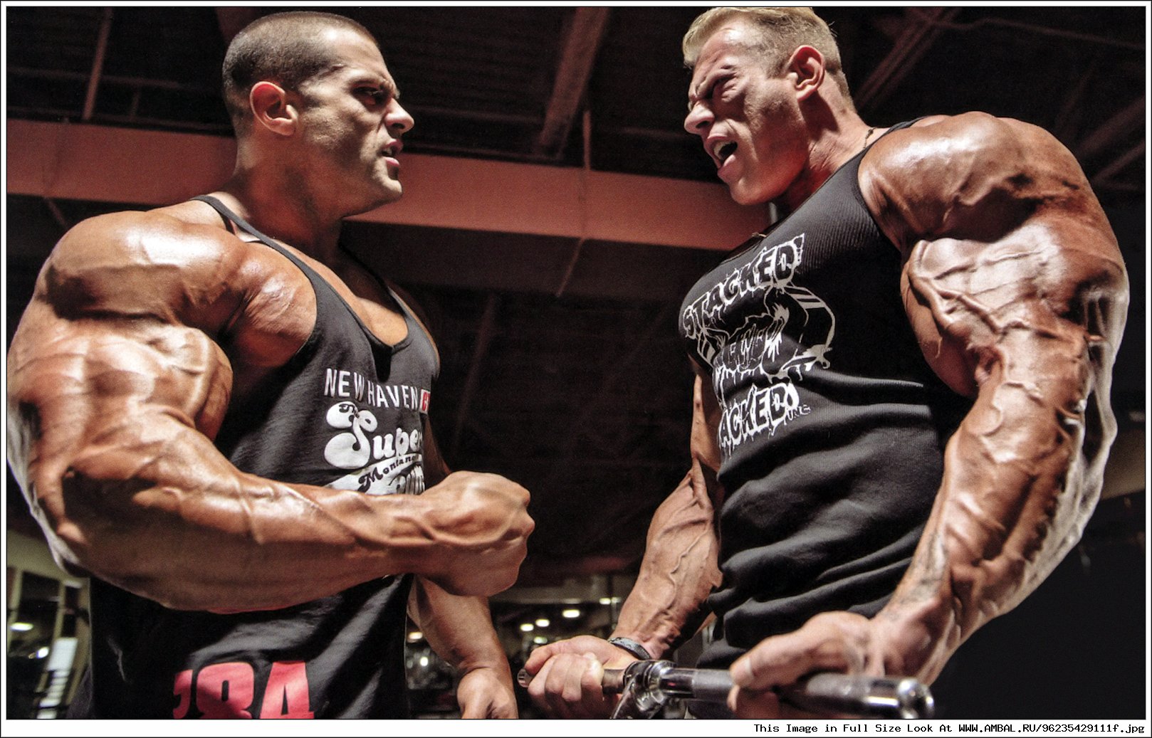 Bodybuilding Chatroom