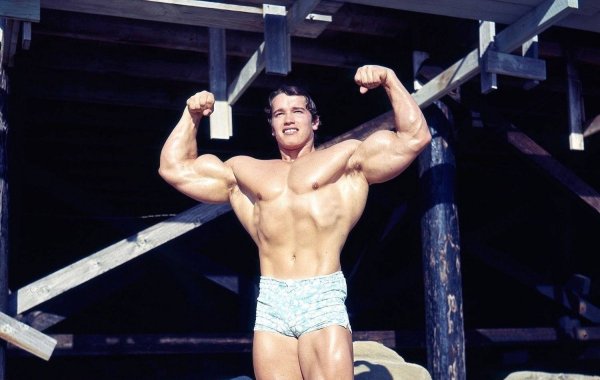 Арнольд Шварценеггер (Arnold Schwarzenegger)