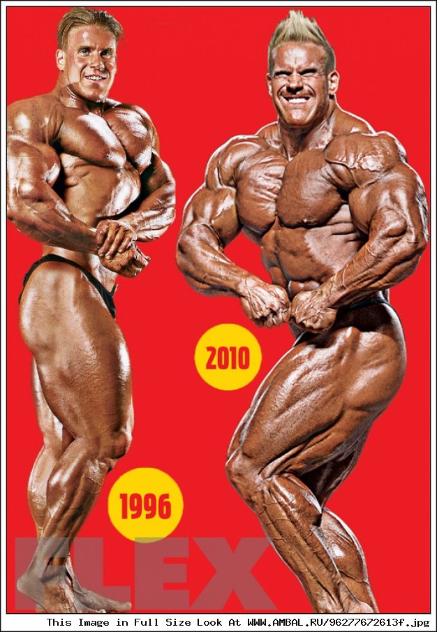 Jay Muscle