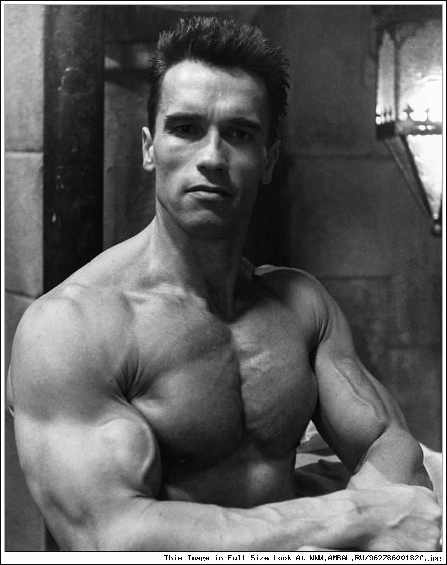 Arnold Schwarzenegger Bodybuilding