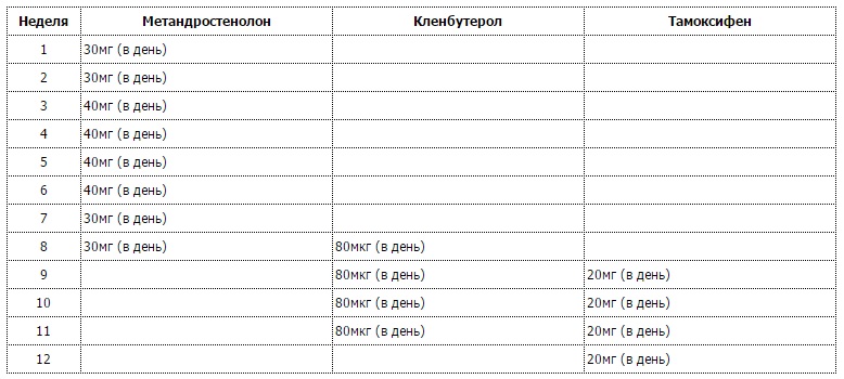 Курс 8 недель