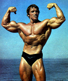 Arnold1.jpg