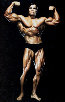 Arnold3.jpg