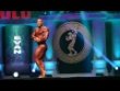 Эван Центопани (Evan Centopani), Арнольд Классик 2015 года. Произвольное позирование
