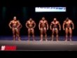 Халид Алмохсинави (Khalid Almohsinawi), Томас Бенальи (Thomas Benagli), Мариан Чамбал (Marian Cambal), Рауль Карраско (Raul Carrasco), Войтех Коритенски (Vojtech Koritensky), Мануэль Манчадо (Manuel Manchado), Элисон Мариа (Аlison Maria), Бенджамин Парра (Benjamin Parra), Фабрицио Зуттукро (Fabrizio Zittucro), Мозолани Про 212 2015 года. Обязательные позы, сравнения, награждение