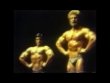 Франко Коломбо (Franco Columbu), Крис Дикерсон (Chris Dickerson), Том Платц (Tom Platz), Рой Каллендер (Roy Callender), Денни Падилла (Danny Padilla), Юсуп Вилькош (Jusup Wilkosz), Мистер Олимпия 1981 года. Сравнение шестерки финалистов и награждение