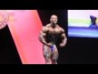 Хуан Морель (Juan Morel), Арнольд Классик Европа 2015 года. Произвольное позирование