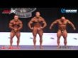 Дайниус Барзинскас (Dainius Barzinskas), Кларенс Девис (Clarence Devis), Джонни Джексон (Johnnie Jackson), Майкл Кефалианос (Michael Kefalianos), Джошуа Ленартович (Joshua Lenartowicz), Седрик МакМиллан (Cedric McMillan), Марек Олейничак (Marek Olejniczak), Ронни Рокел (Ronny Rockel), Бренч Уоррен (Branch Warren), Виталий Фатеев (Vitaly Fateev), Тони Фриман (Toney Freeman), Алексей Шабуня (Alex Shabunya), Кевин Леврони Классик 2016 года. Предварительное судейство 3