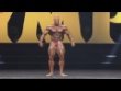 Фил Хит (Phil Heath), Флекс Уиллер (Flex Wheeler). хит против флекса