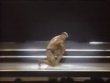 Роланд Чарлок (Roland Cziurlok), Арнольд Классик 1996 года
