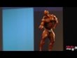 Виктор Мартинез (Victor Martinez), Арнольд Классик Европа 2013 года