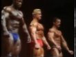Крис Дикерсон (Chris Dickerson), Фрэнк Зейн (Frank Zane), Кейси Вайатор (Casey Viator), Самир Банну (Samir Bannout), Альберт Беклес (Albert Beckles), Том Платц (Tom Platz), Мистер Олимпия 1982 года. Свободное позирование и награждение